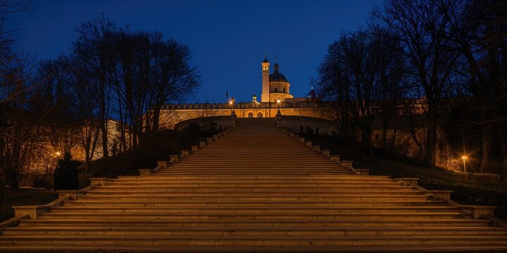 A sunlit autumn forest scene with vibrant red and green leaves, trees, grass, and wood, emphasizing seasonal change