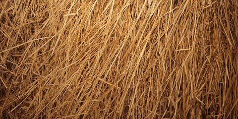 Close-up of plastic-framed sunglasses with white and black lenses, summer fashion accessory, ideal for sunny days