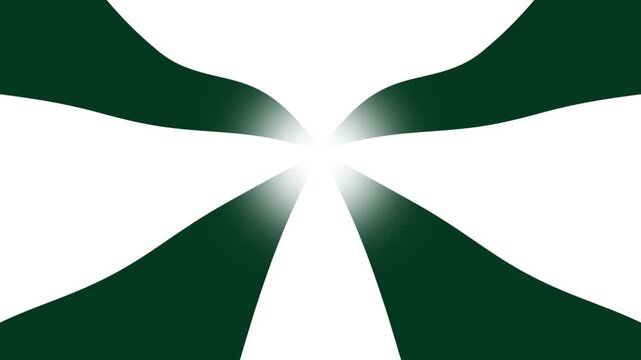 Slow moving striped wave lines warp 2D animated gradient backdrop motion graphics dynamic abstract shapes geometric patterns and visual effects twisting design overlay colours dark green and white - Powered by Adobe