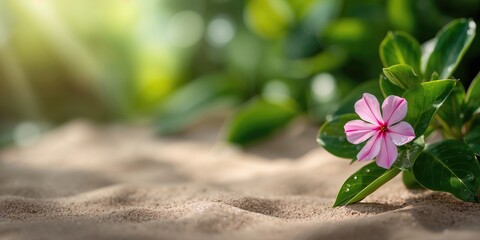 Football coach observing team training on grass field, focusing on teamwork and physical readiness, World Sports Day