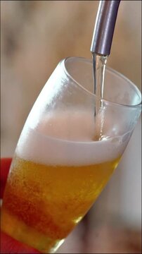 tulipa de chopp sendo enchida 