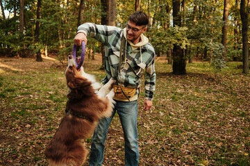 Energetic Australian Shepherd dog jumping, pulling toy from male owner hand in forest. Concept of play and vitality with pet