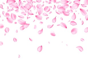 Soft pink petals cascade against a white background, creating a dreamy, ethereal composition suggestive of springtime and delicate blooms