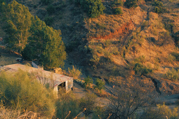 Stable of corrugated iron between trees in a valley during golden hour. Andalucia, Spain.