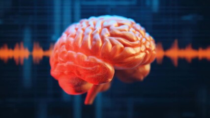 Detailed 3D model of the human brain illuminated orange Neural activity is represented by a pulsing frequency waveform - Powered by Adobe