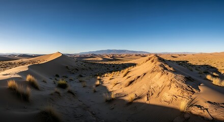 Naklejka premium Golden Light on Expansive Desert Dunes and Distant Mountains
