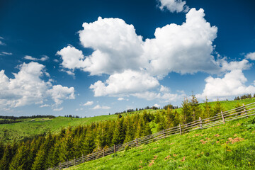 Lush green hills under a vibrant blue sky with puffy white clouds floating peacefully on a sunny day in the countryside create a cozy atmosphere.