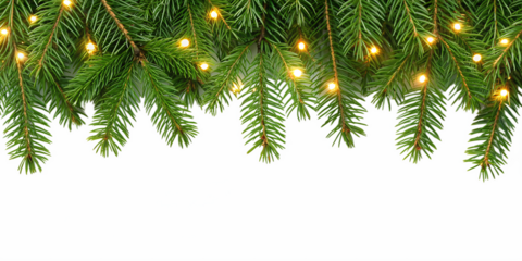 Christmas tree branches with warm lights isolated on transparent background