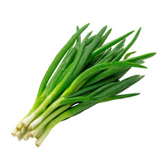 Bunch of bright green scallions
