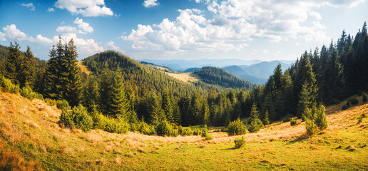Aesthetic rolling hills and green coniferous forests under a bright blue sky with white fluffy clouds create a serene atmosphere. Carpathian mountains, Ukraine. Photo wallpapers. Beauty of earth.
