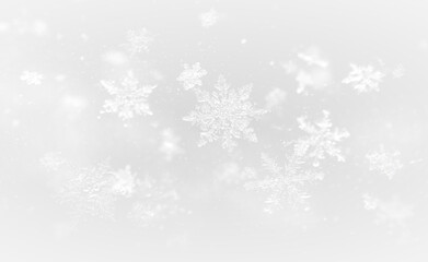 Winter snowflake illustration with frozen patterns and Christmas magic