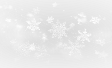 Winter snowflake illustration with frozen patterns and Christmas magic