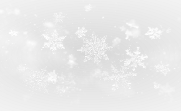Winter snowflake illustration with frozen patterns and Christmas magic