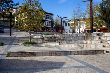 Stone steps and large tree in central Tarakli square