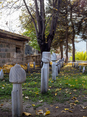 Ottoman gravestones under large tree in Tarakli Sakarya