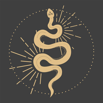 Kundalini snake with circle and rays. Golden spiritual occultism symbol on dark background. Tattoo or tarrot sacred esoteric element