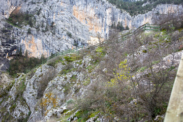 Wooden railing pathway overlooking dramatic canyon landscape