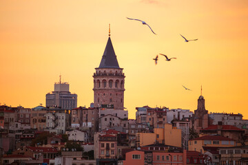 The Galata Tower and seagulls at dawn. Magnificent cityscape of Istanbul in the morning.