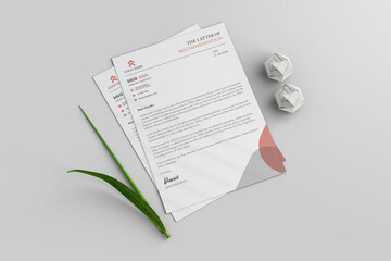 Professional Company Letterhead Branding Template Design