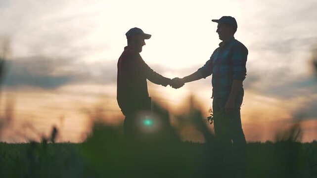 Handshake farmer and man show partnership trust on field. Agreement creates teamwork success on field. Farmer handshake teamwork under sunset proves trust agreement farmer partnership teamwork.