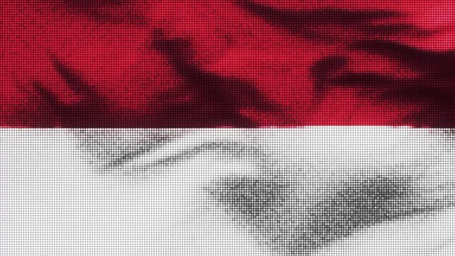 Monaco flag with LED screen display. These videos are retro-style, realistic and 4K, and are perfect for creative projects.