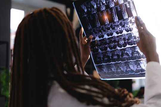 Female doctor examining dental x-rays in medical clinic - Powered by Adobe