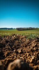 A Close-up View of Rich Soil and Green Grass Beneath a Bright Blue Sky in a Verdant Landscape