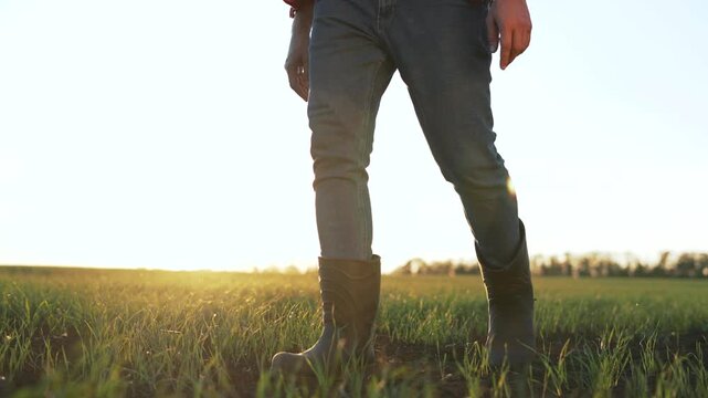 Person walking in green field at sunrise with rubber boot stepping through tall grass with low sun flare by leg in rural pasture under clear sky showing movement tread and agricultural landscape