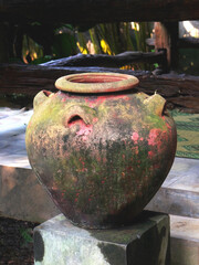 Aged Clay Water Jar With Natural Moss Texture