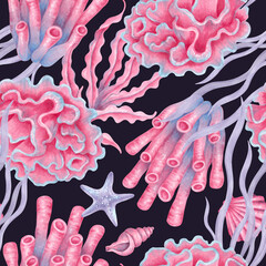 Seamless marine pattern with corals, shells, seaweed, and a starfish. Watercolor illustrations of underwater animals. Hand drawn isolated art. Wild nature for fabric, paper, wallpaper, and textiles