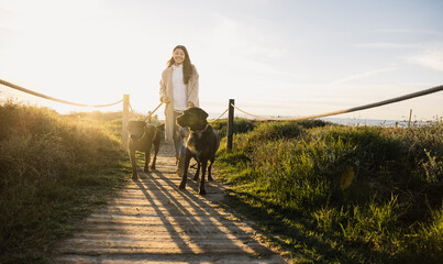 Woman walking two dogs on beach path at sunset