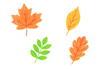 Naklejka premium Colorful autumn and summer leaves collection with crayon texture on white