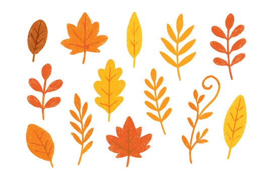 Set of colorful autumn leaves and branches featuring a hand-drawn crayon texture