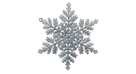 Intricate Silver Snowflake Design Against a Dark Backdrop