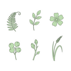 Delicate botanical illustrations of fern flower berries and grass in soft green hues simple design