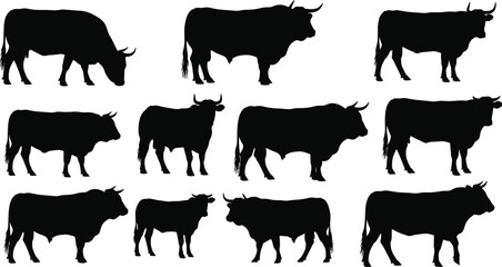 Black Silhouette Cattle and Bull Vector Set for Farm, Ranch, Meat, Dairy, Livestock, Agriculture Industry Logo, and Rural Design.