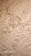 simple pink fluffy fur, pink fur, pink fluffy fur, pink fur texture, pink fabric texture, simple fur background, simple fur