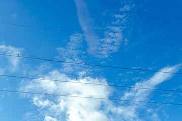 Energy transmission lines and white clouds