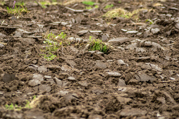 Close up of plowed soil in an agricultural field