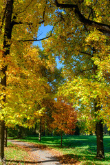 The Monza park at October