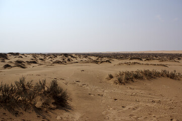 Dunes à Swakopmund, Namibie 
