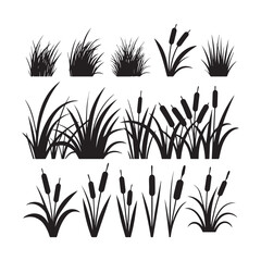 Black Silhouette Vector Set Grass Clumps, Reeds, and Cattail Plants for Design. 