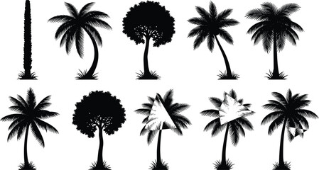Tropical Palm and Coconut Tree Silhouettes Vector Set for Beach Vacation, Exotic Resort, Summer Travel, Hawaii, and Logo Design Graphics.