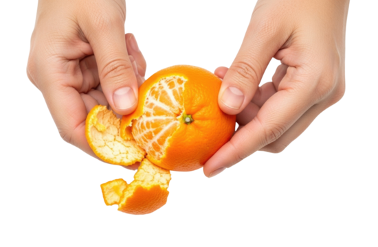 Hands peeling a tangerine transparent background cutout png - Powered by Adobe