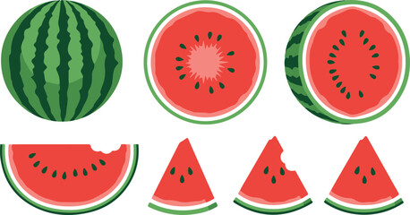 Fresh watermelon slices set vector illustration for summer design elements