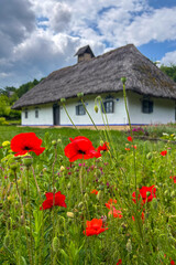 Green summer colors light up the countryside among old wooden houses and ancient churches in Ukraine, creating a warm nostalgic atmosphere.
