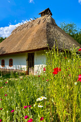 Green summer colors light up the countryside among old wooden houses and ancient churches in Ukraine, creating a warm nostalgic atmosphere.

