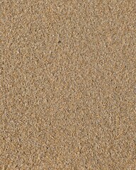 4x5 Vertical Close-up of Uniform Beach Sand Surface with Warm Earthy Tone