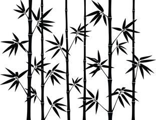 Black silhouette of bamboo stalks and leaves on a white background plant leaf