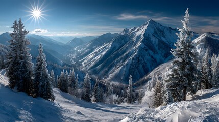 Panoramic view of snow-covered mountains with pine trees covered in frost and bright sun flare showing ski resort vibe and crisp blue sky.